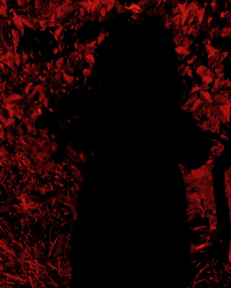 Noemi shadow against red leaves