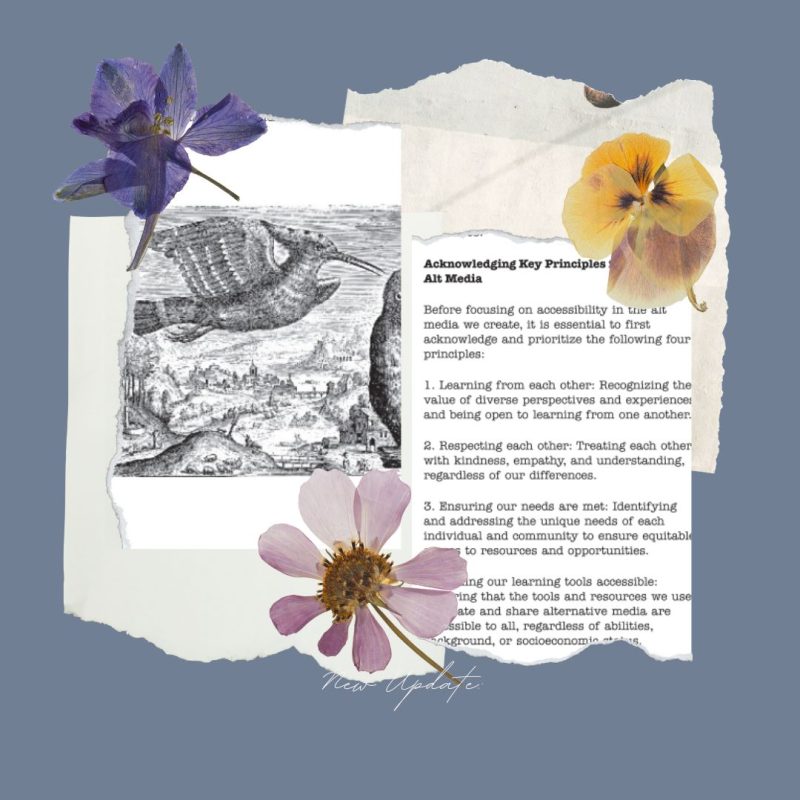 resource on alt media & teaching